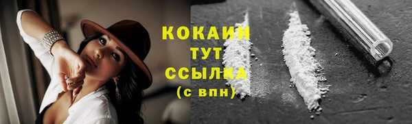 дмт Заволжск