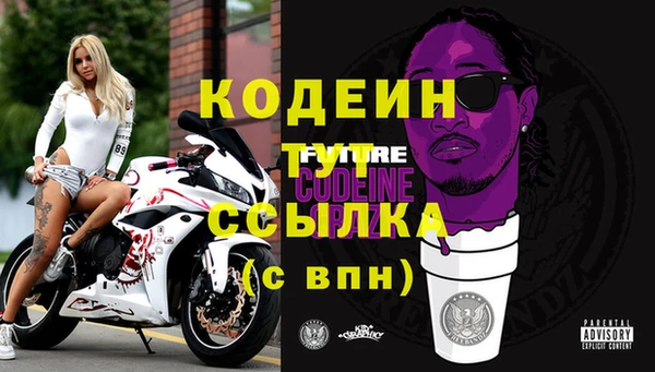 дживик Заводоуковск