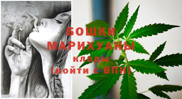 дмт Заволжск