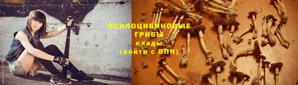 дмт Заволжск