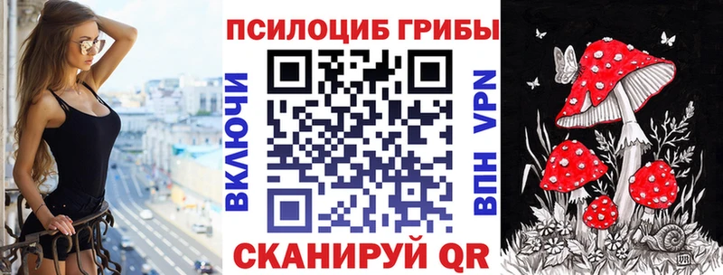 Галлюциногенные грибы Psilocybe  Купить где  Лиски 